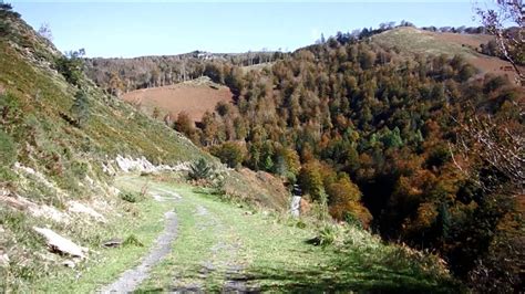 ruta errekaidorra|Ruta Sendero Errekaidorra (selva de Irati)